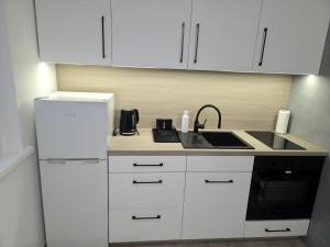 Η κουζίνα ή μικρή κουζίνα στο Apartament Pod Murami