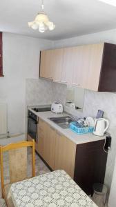 Kuchyň nebo kuchyňský kout v ubytování Tsvetkovi Guest House