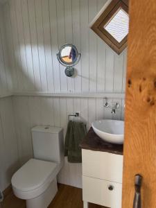 a small bathroom with a toilet and a sink at The Shepherds Rest in East Dean