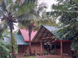 哈伯勒内Amuna Villa的一座前面有棕榈树的建筑