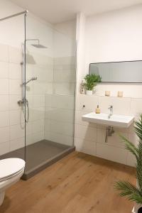 un bagno con doccia, lavandino e WC di Ferienwohnung Gut Lehmhof a Lehmrade
