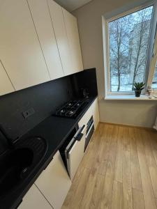 a kitchen with a stove top oven next to a window at Namų mūza Mačernio 51 in Plungė +4 photos