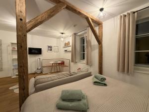 Μια τηλεόραση ή/και κέντρο ψυχαγωγίας στο Luxury Living Bad Aussee by Landluft