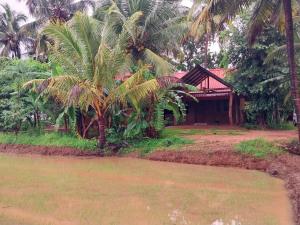 ein Haus mit Palmen neben einem Wasserkörper in der Unterkunft Amuna Villa in Habarana