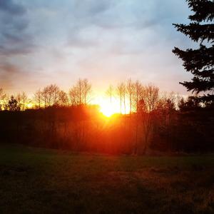 Solopgangen eller solnedgangen set fra villaen