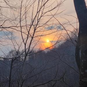 Naturlandskabet i nærheden af villaen