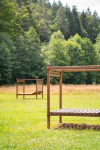 Schönau an der Brend克鲁姆巴赫托尔酒店的两个公园长椅,坐在草地上