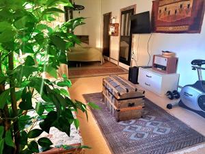ein Wohnzimmer mit Fernseher und Pflanze in der Unterkunft Hopeaniitty in Huittinen