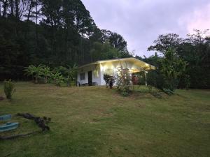 a small white house with lights in a yard at Los Senderos Amados in Bajo Boquete