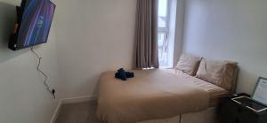 TV a/nebo společenská místnost v ubytování Portsmouth