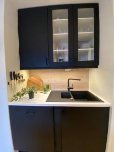 Η κουζίνα ή μικρή κουζίνα στο Art Nouveau in the middle of downtown Ålesund