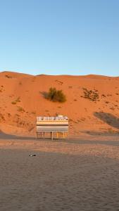 a bench sitting in the middle of a body of water at Hawyan Camp in Badīyah +5 photos