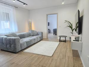 un soggiorno con un divano e un tappeto di Exklusive Wohnung im Herzen Ramsteins a Ramstein-Miesenbach