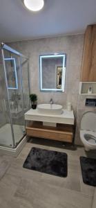 a bathroom with a sink and a shower and a toilet at Apartman La Campanella 2 in Vrnjci