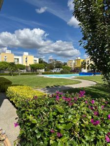 SofíaCasa Farah的一座公园,里面种有粉红色的花卉,建筑背景