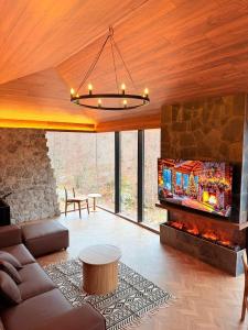 TV a/nebo společenská místnost v ubytování North Alpine Villas