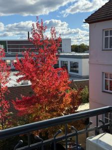 un albero con foglie rosse di fronte a un edificio di Kungs Ferienwohnung 2 a Cottbus
