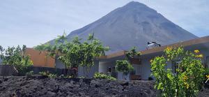 PortelaCasa Scora的一座建筑物，上面坐着一头牛，矗立在山顶上。 更多27张照片