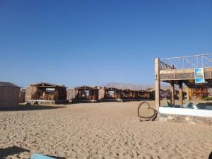 Příroda nedaleko rezortu