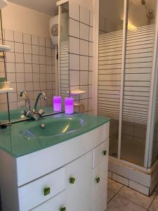 サント・リュスにあるGrand studio avec mezzanine à 5 min de la plageの洗面台とシャワー付きのバスルーム