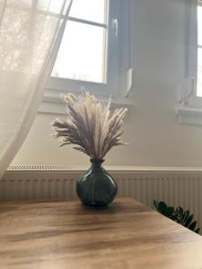 锡根Elegantes Zimmer in historischer Villa in Siegen-Eiserfeld的绿花瓶,上面有草,坐在桌子上