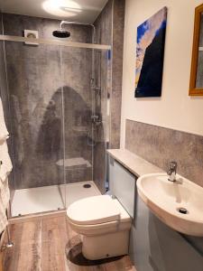a bathroom with a shower and a toilet and a sink at The Wigtown Ploughman in Wigtown +4 photos