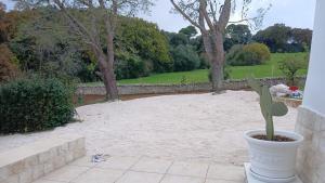 Κήπος έξω από το Trulli Donna Grazia +4 φωτογραφίες