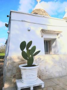 Φωτογραφία από το άλμπουμ του Trulli Donna Grazia στη Μαρτίνα Φράνκα