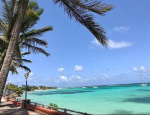 una playa con una palmera y el océano en La BEL KREOL, en Le Gosier