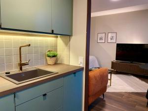 Un televizor și/sau centru de divertisment la Studio Esterinkatu