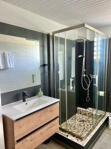 オリエントベイにあるVilla Cataleya - Jacuzzi, Pool & Sea View in Orient Bayの洗面台とシャワー付きのバスルーム +3枚の写真