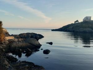 a large body of water with rocks in it at Paradise in Burgas City