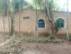 Φωτογραφία από το άλμπουμ του Eco Paxcaman σε Flores