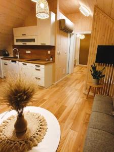 Η κουζίνα ή μικρή κουζίνα στο Eco-apartmány DOMA POD JAVOROM - Jacuzzi & MountainView