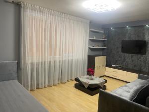 TV/trung tâm giải trí tại Silver Vytauto Apartments