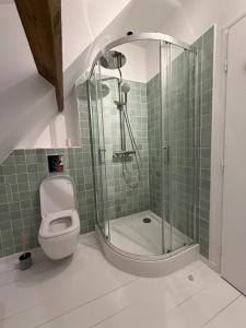 a bathroom with a shower and a toilet at Le426 Charmant T2 bis avec petite cour in Mouvaux