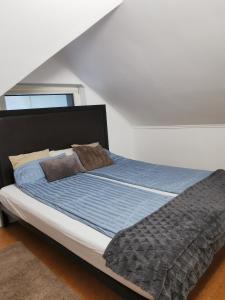 Postel nebo postele na pokoji v ubytování Ház a Tónál Villa Apartman