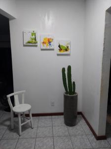 een witte muur met een stoel en een cactus bij Apartamento 100metros do Mar 2 quartos in Bombinhas