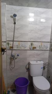 a bathroom with a toilet and a shower and a bucket at Dar Bouchikhi in Moulay Yacoub