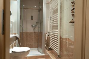 ein Badezimmer mit Toilette und Dusche in der Unterkunft Seebrise Apartments in Grömitz + 9 Fotos