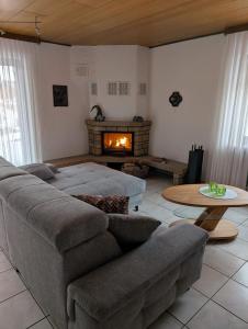 DiemelseeFerienwohnung am Diemelsee in Heringhausen的带沙发和壁炉的客厅