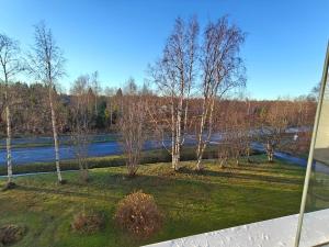 una vista di un parco con alberi e un fiume di Peaceful and spacious apartment with free parking a Kemi Altre 25 foto