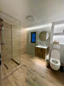 a bathroom with a shower and a toilet and a sink at Pensiunea Pusu in Ranca