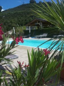 a view of a swimming pool with flowers in the foreground at Ferienwohnungen Niederhof in Lana