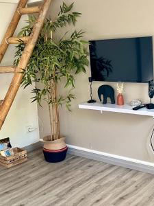 a living room with two potted plants and a tv at Bwa Kanel - Logement moderne avec SPA- Venez profiter d'une parenthèse de bien-être ! in Ducos +9 photos