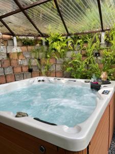 a hot tub in a garden with plants at Bwa Kanel - Logement moderne avec SPA- Venez profiter d'une parenthèse de bien-être ! in Ducos