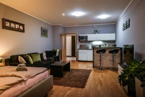 チェラドナーにあるApartment Čeladnáのソファとキッチンのあるリビングルーム