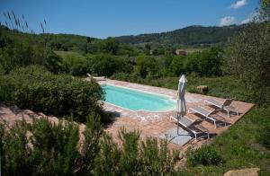 a swimming pool with two chairs and an umbrella at Villa Berti in Montescudaio