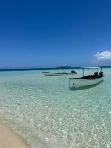 Příroda nedaleko kempu + 9 fotografií