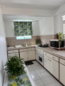Η κουζίνα ή μικρή κουζίνα στο Villa Bwa Flè - maison vue mer à 5 mi de la plage